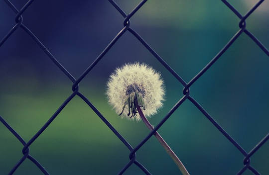 The Urgent Beauty of It All: Feeling and Emptying, Inhaling and Exhaling The Urgent Beauty of It All: Feeling and Emptying, Inhaling and Exhaling